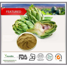 High Quality 100% Natural Certificated Organic Artichoke Extract Powder